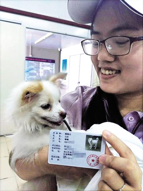 狗狗身份证,狗狗身份证怎么办理,小狗多大才能办证？