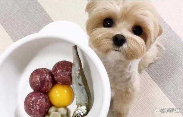 狗狗可以吃蛋黄吗,狗狗可以吃蛋黄吗熟的,猫猫狗狗可以吃蛋黄吗？