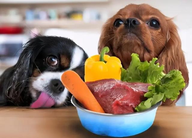 狗狗可以吃什么肉,狗狗可以吃什么肉和内脏,狗狗吃牛肝鸡肝哪个好？