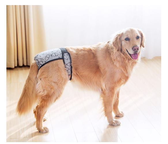 狗狗生理裤怎么穿,狗狗生理裤怎么穿图解,如何做狗狗的生理裤？