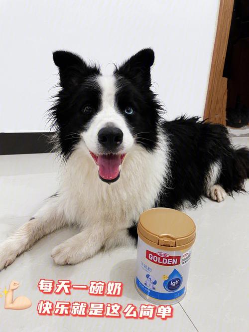 狗狗喝什么奶粉好,狗狗喝什么奶粉好一点,宠物羊奶粉哪个牌子好？