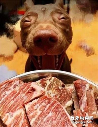 狗狗能吃牛肉吗,狗狗能吃牛肉吗熟的,为什么我的狗不吃牛肉？