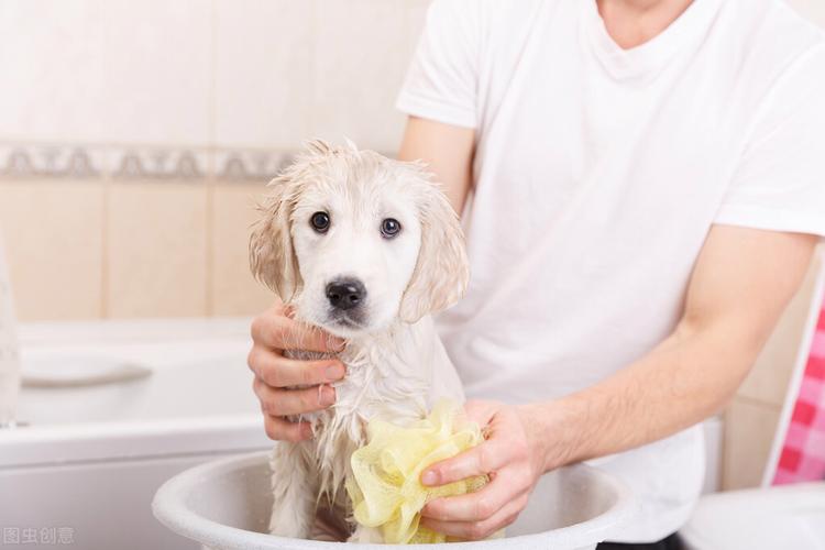 如何帮狗狗洗澡,如何帮狗狗洗澡不抗拒,怎么给两个月的小狗洗澡？