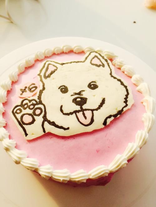 蛋糕狗狗能吃吗,奶油蛋糕狗狗能吃吗,狗狗可以吃芝士蛋糕吗？