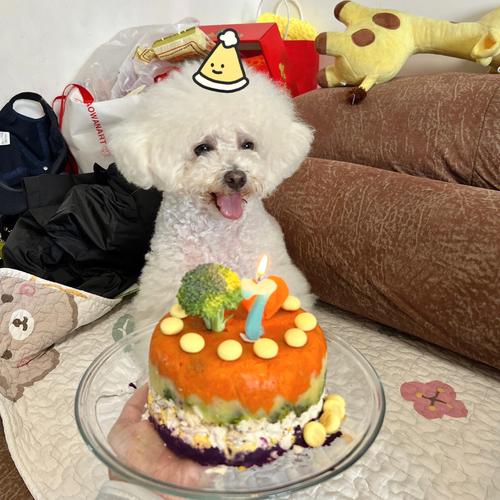 狗狗生日蛋糕图片,狗狗生日蛋糕图片大全大图,草莓狗狗蛋糕的做法？