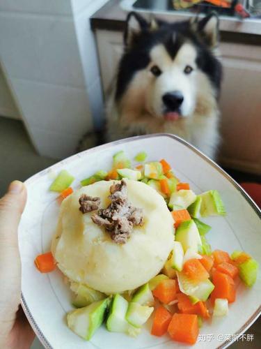 狗狗可以吃土豆,狗狗可以吃土豆不,狗狗能不能吃土豆泥？
