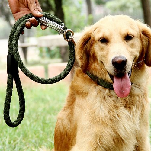 自制狗狗牵引绳,自制狗狗牵引绳三角式,如何使用宠物牵引绳？