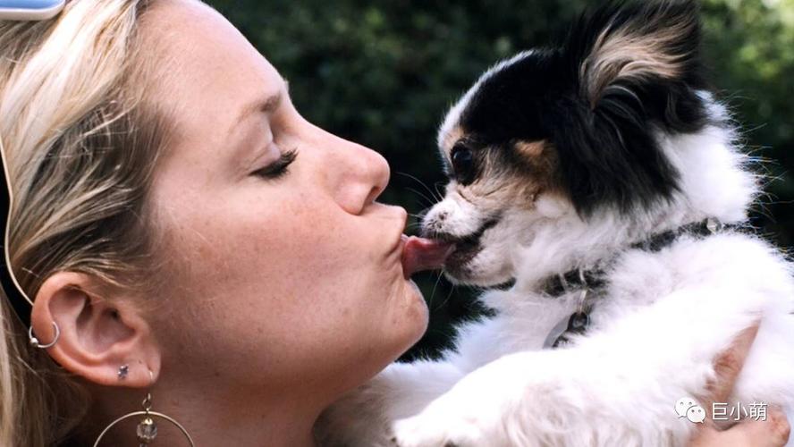 和狗狗接吻,和狗狗接吻会不会得狂犬病,什么叫犬吻？