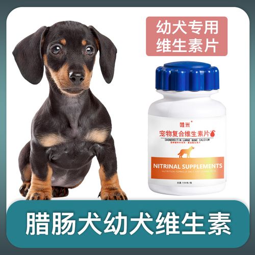 狗狗如何补充维生素,狗狗如何补充维生素B,幼犬需要补充维生素吗？