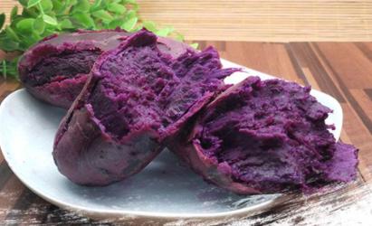 狗狗可以吃紫薯吗,狗狗可以吃紫薯吗熟的,拉布拉多能吃紫薯吗？