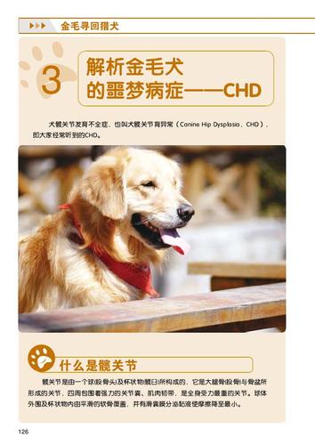 狗狗chd,狗狗chd是什么意思,狗狗得CHD有何症状及影响？