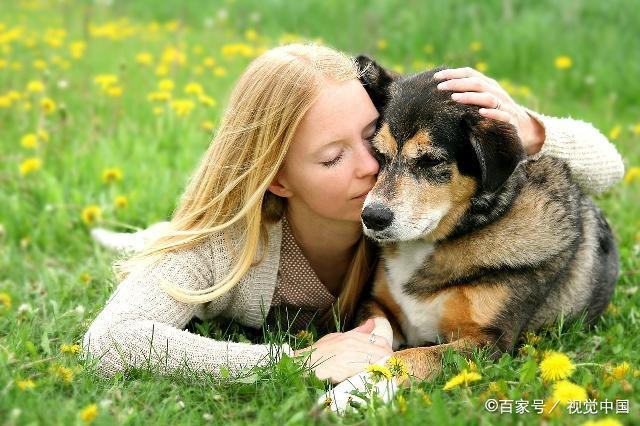 狗狗为什么那么忠诚,狗狗为什么那么忠诚于主人呢,人和狗的情缘何来，狗为什么忠诚于人？