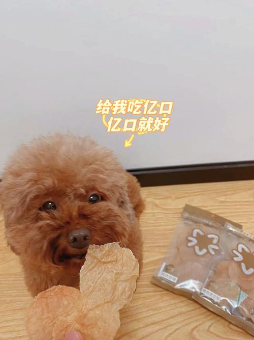 狗狗可以吃薯片吗,狗狗可以吃薯片吗?,狗能吃薯片吗？