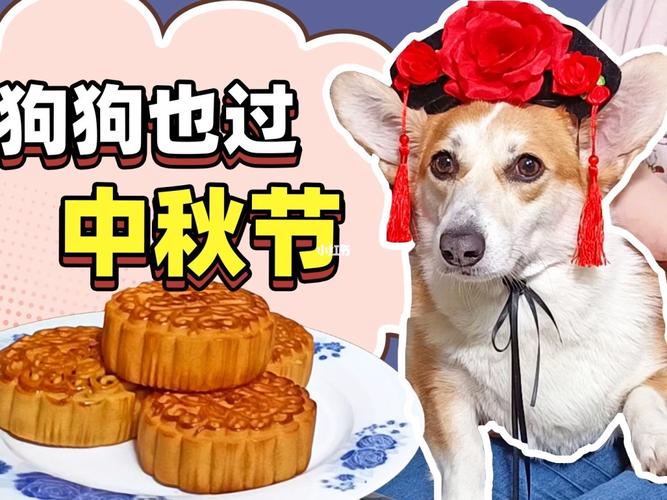 狗狗能吃月饼吗,狗狗能吃月饼吗?,柯基能吃豆沙馅儿的月饼吗？