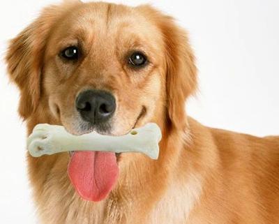 狗狗磨牙期是什么时候,狗狗磨牙期是什么时候开始,小狗的磨牙期是多长时间啊？