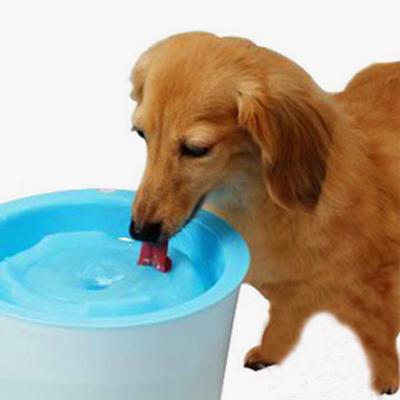 狗狗老喝水是怎么回事,狗狗老喝水是怎么回事吃什么药,狗狗一直喝水？