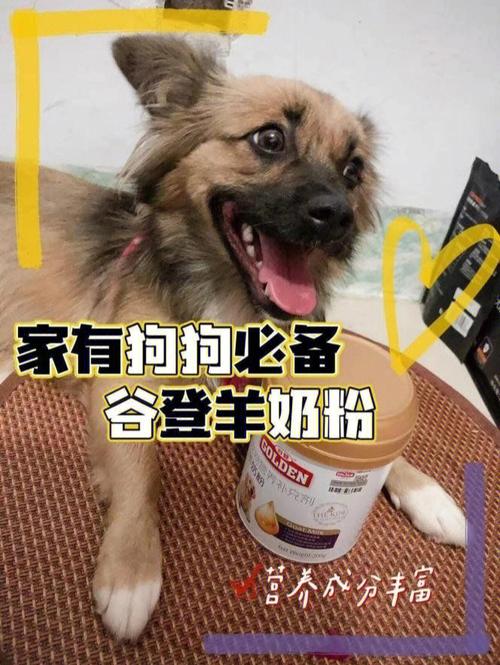 狗狗不吃羊奶粉怎么办,狗狗不吃羊奶粉怎么办视频,为啥狗狗不吃奶粉？