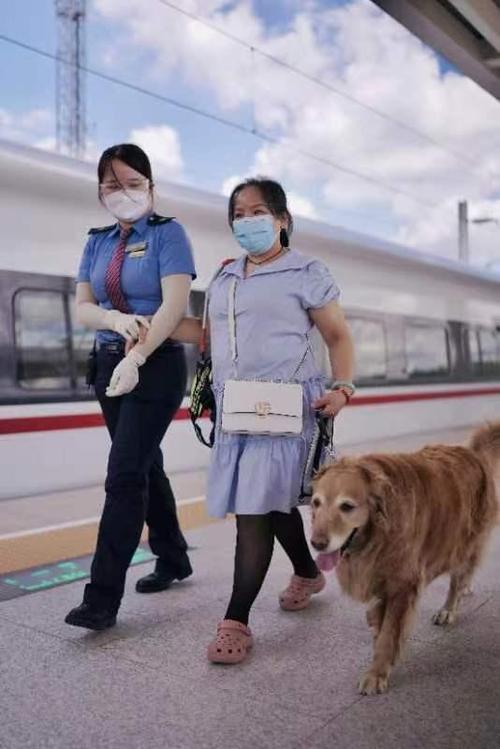 狗狗能上火车吗,狗狗能上火车吗?,能不能带狗狗坐火车？
