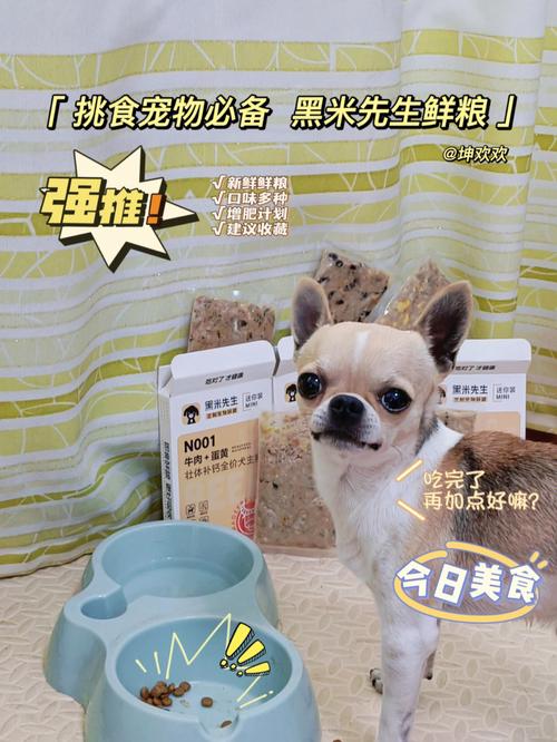 狗狗可以吃黑米吗,狗狗可以吃黑米吗?,狗狗可以吃黑米吗
