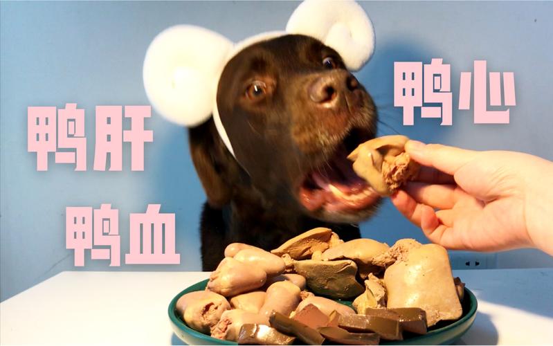 狗狗可以吃鸭心吗,狗狗可以吃鸭心吗 煮熟的,两个月小猫可以吃鸭心吗？