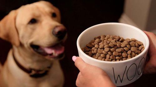 狗狗吃狗粮的好处,狗狗吃狗粮的好处总结,狗粮有什么好处？