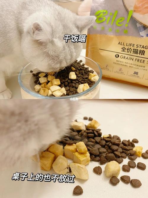 猫粮可以放多久,打开的猫粮可以放多久,猫粮放一周还能吃吗？