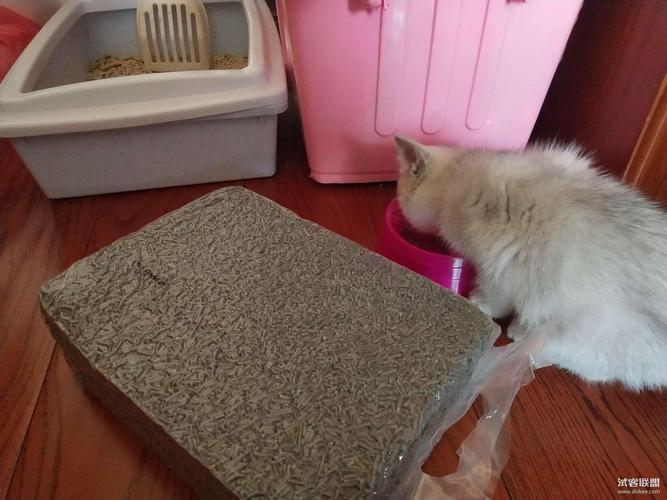 猫砂可以用多久,一斤猫砂可以用多久,一次猫砂能用多久？