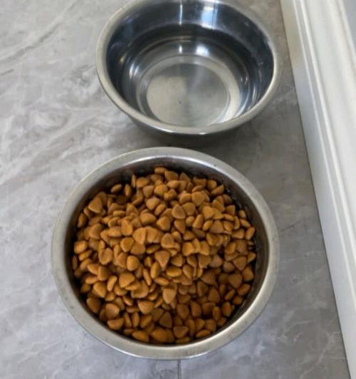 狗粮可以放多久,泡的狗粮可以放多久,一种狗粮停吃多久可以换？