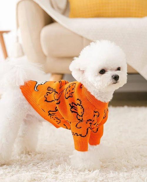 狗狗喜欢穿衣服吗,狗狗喜欢穿衣服吗为什么,天冷时有必要给狗狗穿衣服吗？