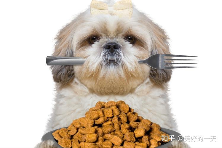 狗狗吃狗粮好还是吃饭好,狗狗吃狗粮好还是吃饭好是吃,狗光吃狗粮营养跟的上吗？