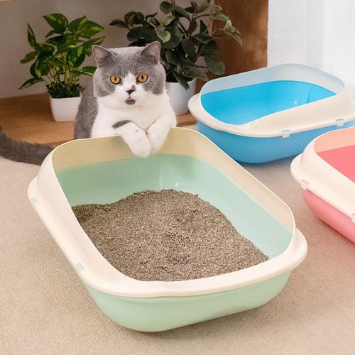 幼猫多久会用猫砂,幼猫多久会用猫砂盆,大猫多久教小猫用猫砂？