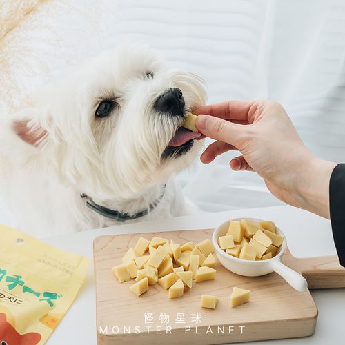 狗狗可以吃芝士片吗,狗狗可以吃芝士片吗,狗狗能吃奶酪吗？