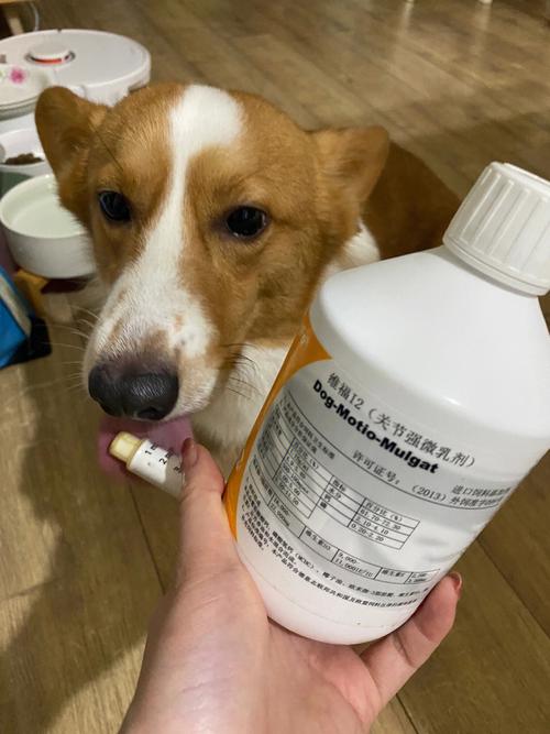 狗狗保肝药推荐,狗狗保肝药推荐一下,狗为什么不能吃盐酸左氧氟沙星胶？