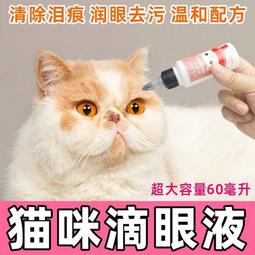 猫咪结膜炎多久能恢复,猫咪结膜炎多久能恢复正常,猫多久滴一次眼药水？