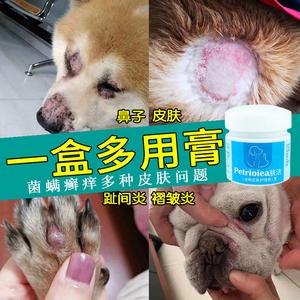 狗狗鼻子真菌感染图片,狗狗鼻子真菌感染用什么药,狗狗真菌感染很难治吗？