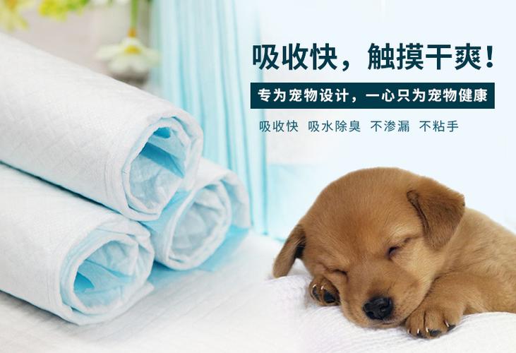 狗尿垫一片可以用多久,狗尿垫一片可以用多久换一次,自制宠物尿垫？