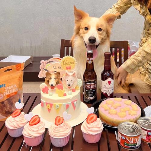 狗狗能不能吃奶油蛋糕,狗狗能不能吃奶油蛋糕呢,奶油蛋糕能不能给狗狗吃？