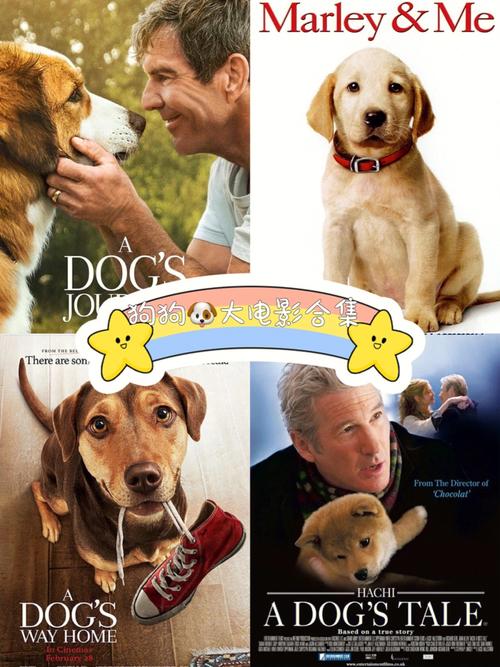 关于狗狗的电影有哪些,关于狗狗的电影有哪些感人,关于狗狗的电影有哪些