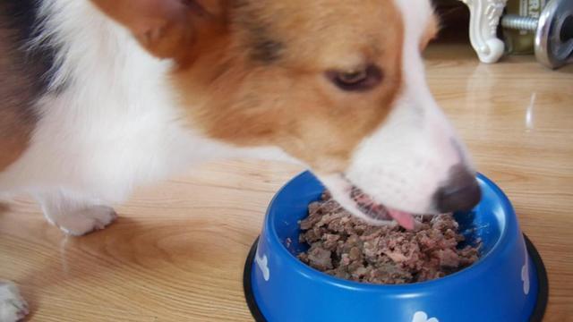 狗狗可以吃膨化食品吗,狗狗可以吃膨化食品吗,小狗能吃饭店里的剩菜剩饭吗？