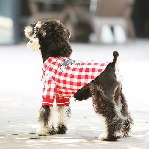 狗狗夏天衣服,狗狗夏天衣服简单制作,下雪天狗狗需要穿衣服吗？