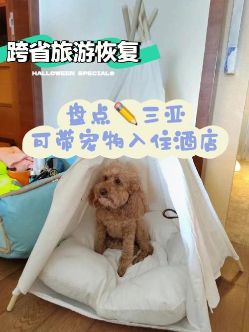 可以带狗狗入住的酒店查询,可以带狗狗入住的酒店查询广州,西安允许宠物住宿的酒店？