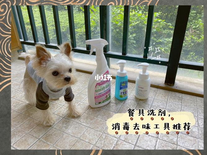 狗狗洗澡能用洗洁精吗,狗狗洗澡能用洗洁精吗有毒吗,要用什么給狗狗洗澡呢？洗衣粉可以么？