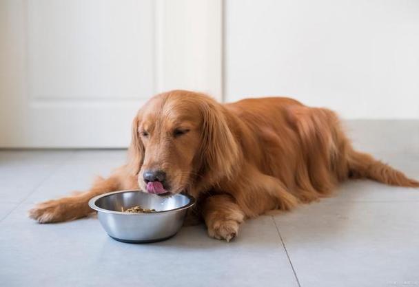 狗狗吃了变质的食物,狗狗吃了变质的食物呕吐怎么办,狗粮放二年多了狗可以吃吗？