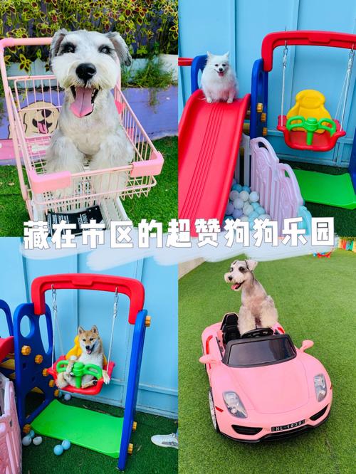 天津带狗狗玩的地方,天津带狗狗玩的地方有哪些,天津宠物寄养机构？