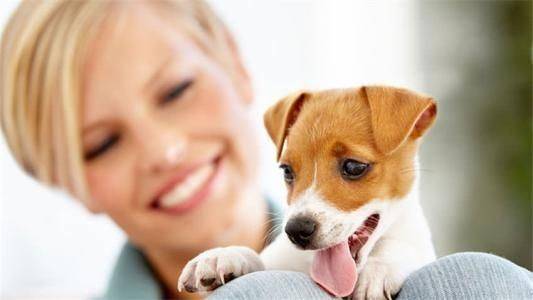 狗狗上呼吸道感染症状,狗狗像哮喘一样抽气,狗狗呼吸道感染症状？