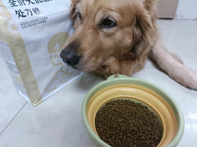 狗狗能吃豆浆吗,狗狗能吃豆浆粉吗,金毛可以喝豆浆？