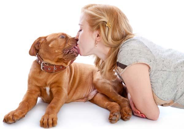 狗狗舔主人嘴巴,狗狗舔主人嘴巴表示什么,狗狗一直频繁的舔舌头是怎么回事儿？