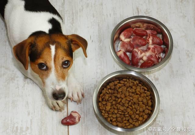 狗狗能吃猪肝吗煮熟,狗狗能吃猪肝吗煮熟拉血,狗狗能吃炒猪肝吗？