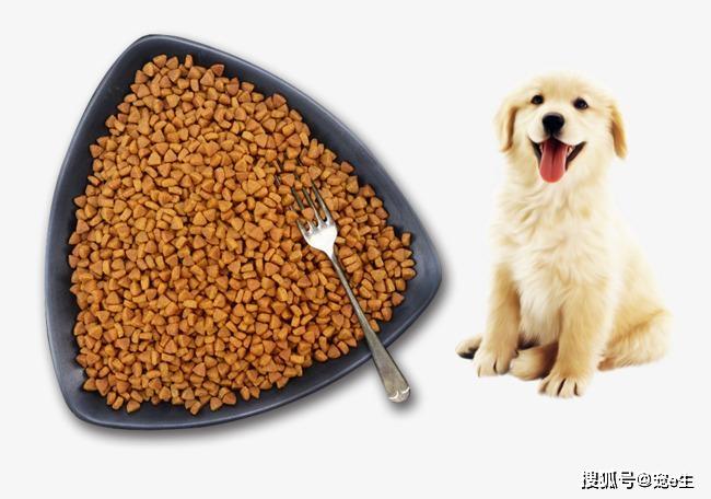 狗狗能吃面粉吗,自制狗粮的最佳配方,狗，喂玉米面好吗？