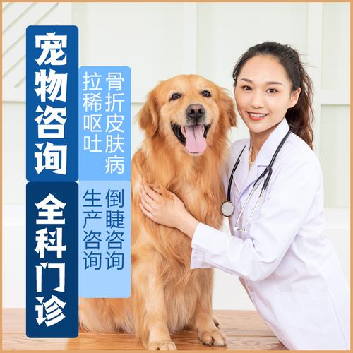 狗狗在线宠物医生咨询,狗狗在线宠物医生咨询电话,学宠物医生难吗？